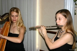Duo, trio, quatuor ou quintet de musique classique